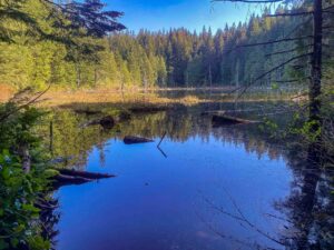 Read more about the article Beyond Miles: 5 Ways to Match Your Hike to Your Goal
