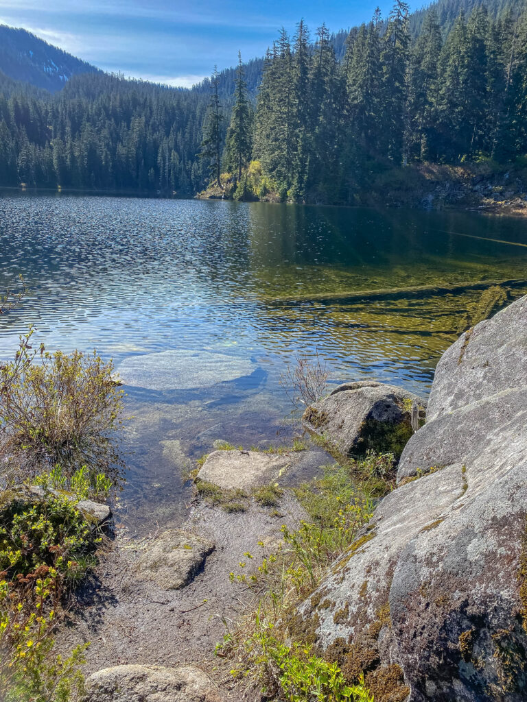 My wading area at Tuscohatchie Lake Tuesday morning. Brisk but refreshing. A win for my feet.