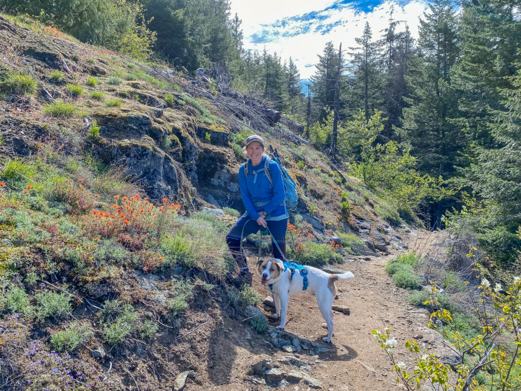 Ajax got to join me and a friend on a hike last Friday to Dirty Harry's Balcony and Museum. It was great to have him out on the trail again! Another "rest" hike for me, something well within my ability at a comfortable pace.