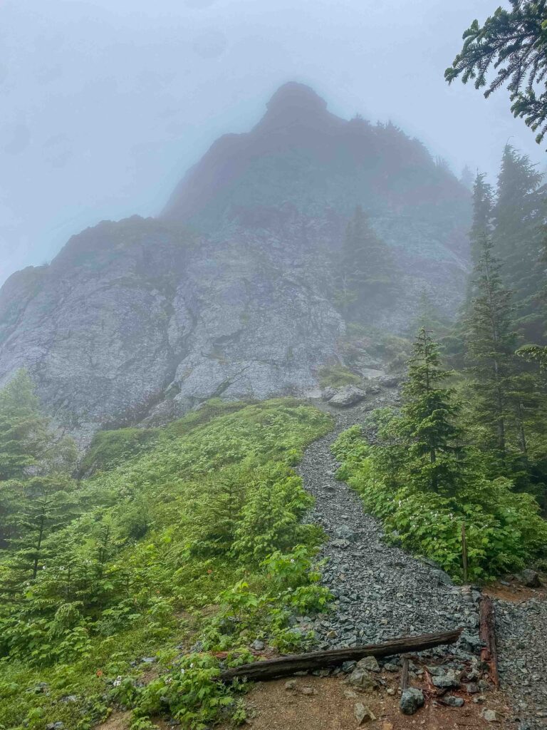 The backside of Si's Haystack in the fog, moments after we found the grouse mama and two chicks.
