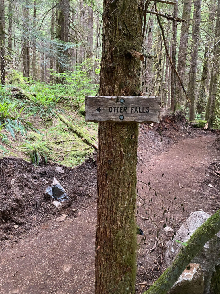 At work I long for this sort of clarity: a brand new dirt trail and clearly marked directional sign.