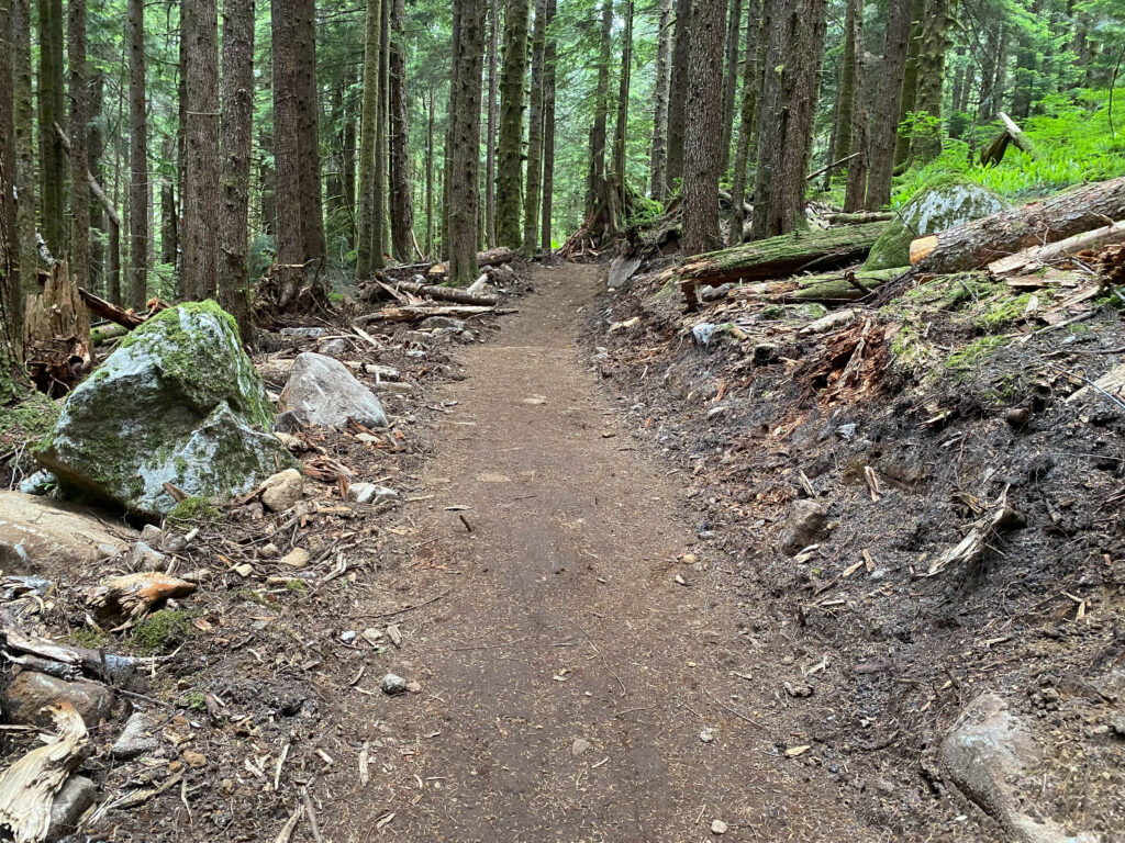 The only part of this trail I hadn't been on was the newly developed path from the Middle Fork up to Lipsy Lake. Oh, the manpower hours that must have gone into it -- the land looks shell-shocked but the tread is fantastic. Could this be a new metaphor for my current situation?