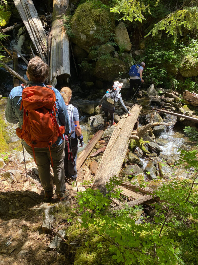 Medium wins on the trail might include demonstrating and coaching the best way to go across a log crossing. This falls into my habits that include keeping everyone safe on my hikes.