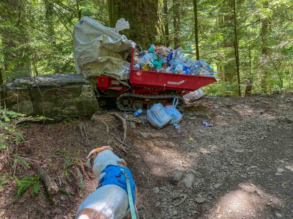 Hoping the maintenance crew starting work on July 15 will help get ride of this pile of plastic.