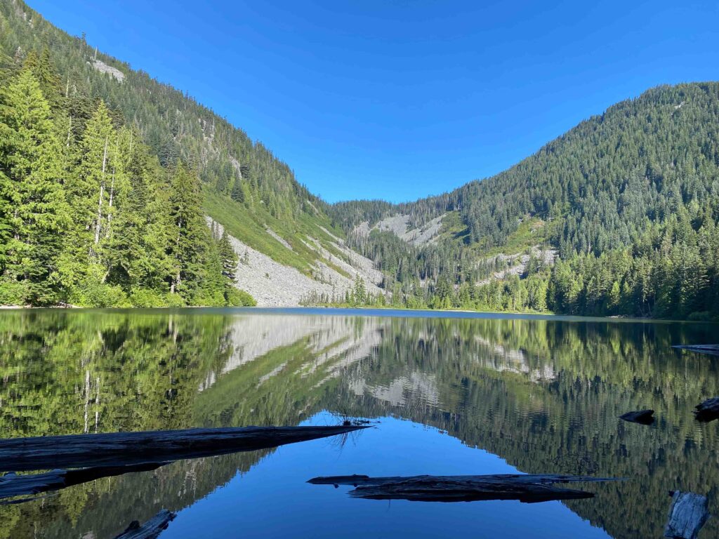 East end of Talapus Lake where logs have accumulated. Early Thursday morning in late July, 2025.