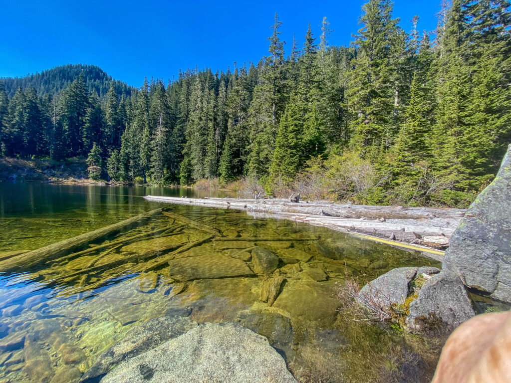 South end of Lower Tuscohatchie Lake draining into a stream. We ended up swimming at Pratt Lake's north end.