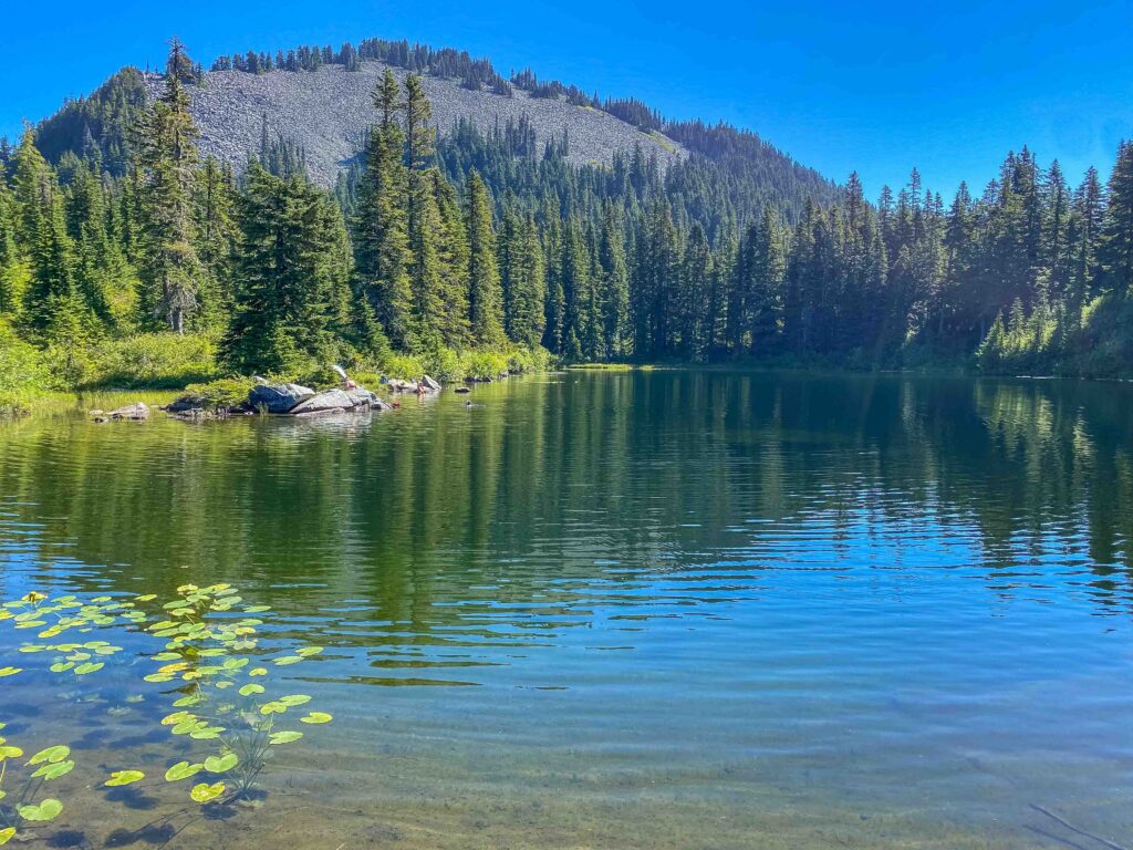 Looking back at Pratt from lily-pad covered Rainbow Lake.