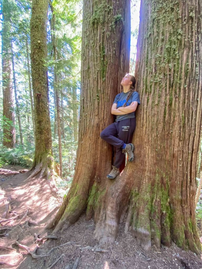 
Breaks provided us moments of connection and memories - like standing between two giant Western Red Cedars on the hike up...