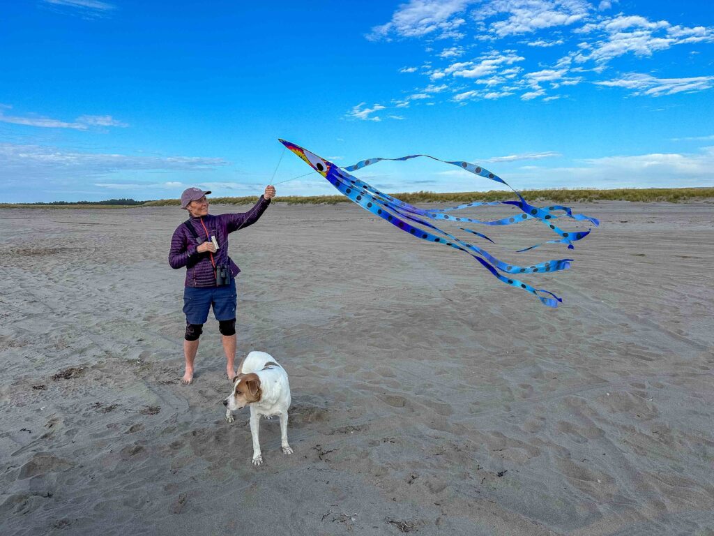 Kite flying at the Coast: a 26-foot-long octopus, 8-foot-long octopus, and darting bat-bird were our three playthings of choice.