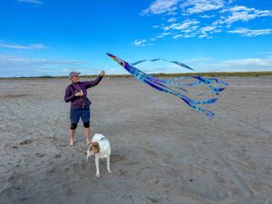 Read more about the article Pivot Toward Wonder: How to Embrace What Unfolds