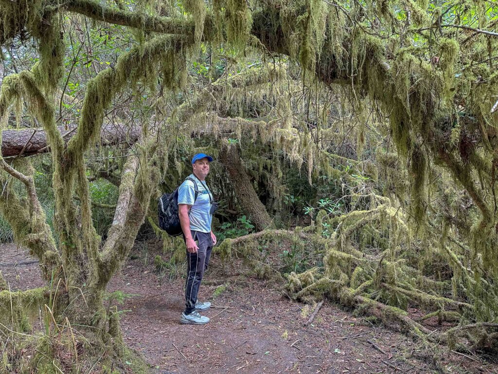 A restful birding walk to Leadbetter Point with my husband to test out my new birthday backpack.
