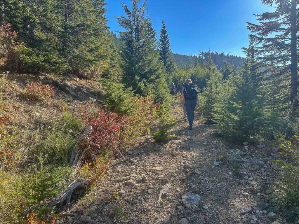 Fall colors are coming, poking out at higher elevations as we navigated toward Thompson Point.