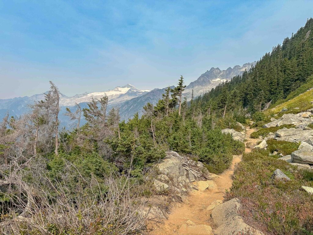 After emerging from the woods (and 37 switchbacks) we caught a glimpse of snow-covered Eldorado, a peak we climbed over 25 years ago