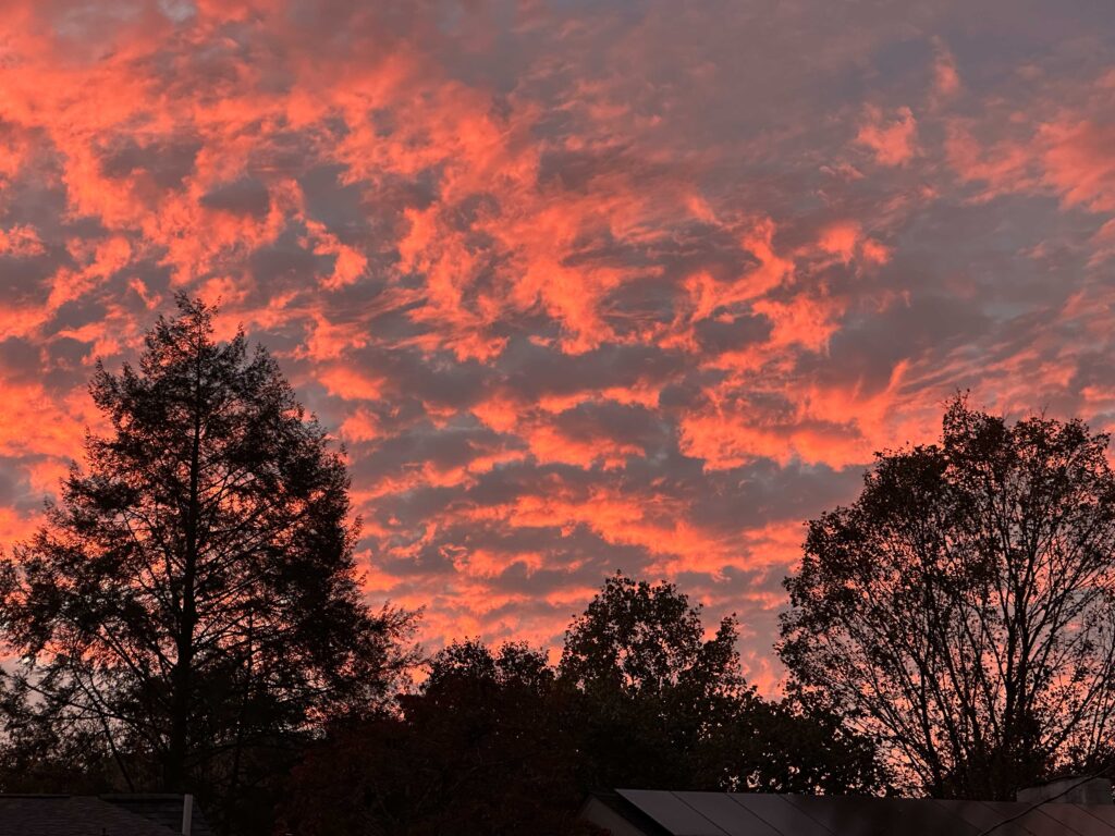 Even on the stormiest days (right before Asheville rain) there is beauty everywhere.