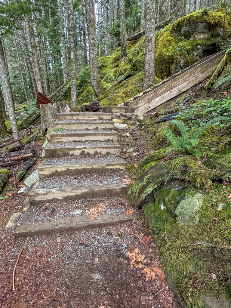 Sometimes my inner climber grabs hold of me and demands that I go UP.