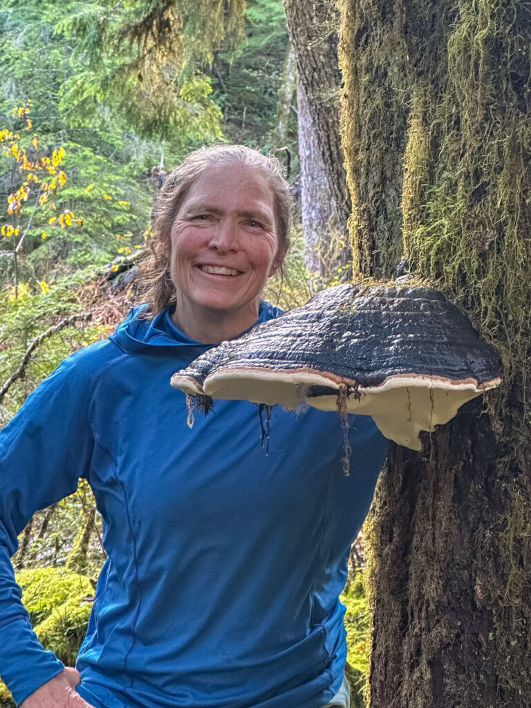 HUGE conch mushrooms on the Middle Fork of the Snoqualmie trail, my first celebration hike November 4.
