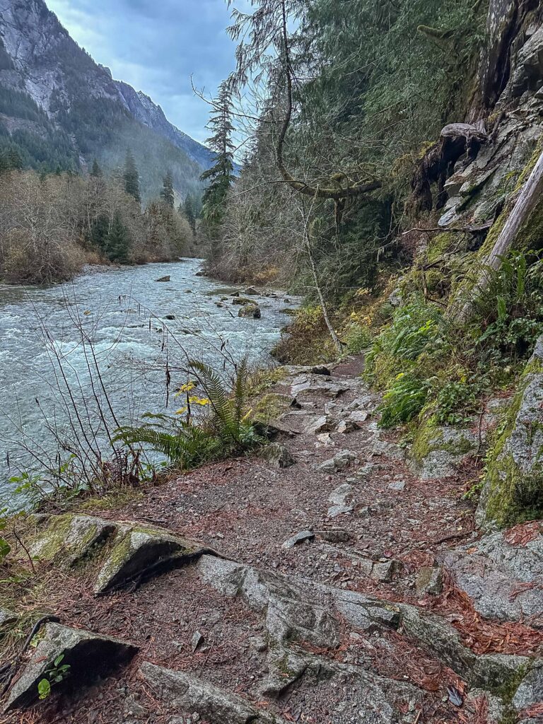 The lovely trail right along the river. If you haven't been on the Middle Fork of the Snoqualmie, join me in January.