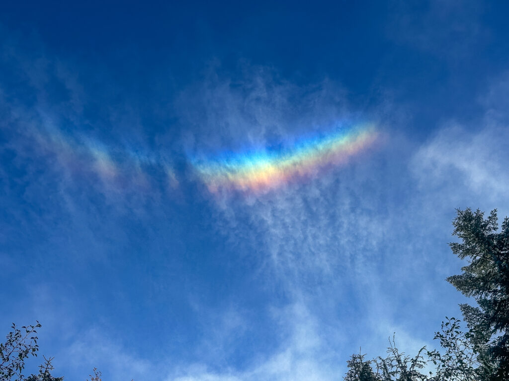 Smiling rainbow over Grand Prospect. It only lasted fifteen seconds but it felt like a message from the Multiverse.