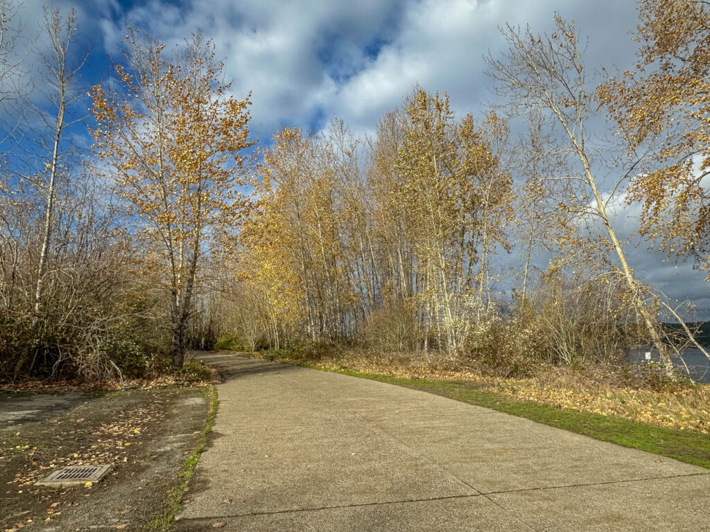Sunbreaks at Magnuson Park, away from the kite-flying, soccer-playing crowds.