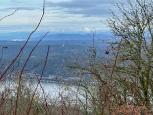 Read more about the article Awe, Agony, and the Space Between