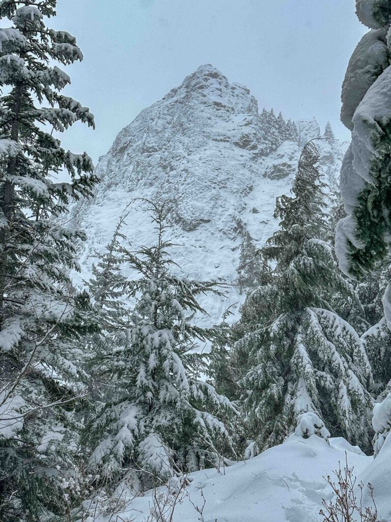 Mt. Si's Haystack, magically transformed into an Everest-like mass of snow and ice. Impressive in all seasons but especially in early winter.