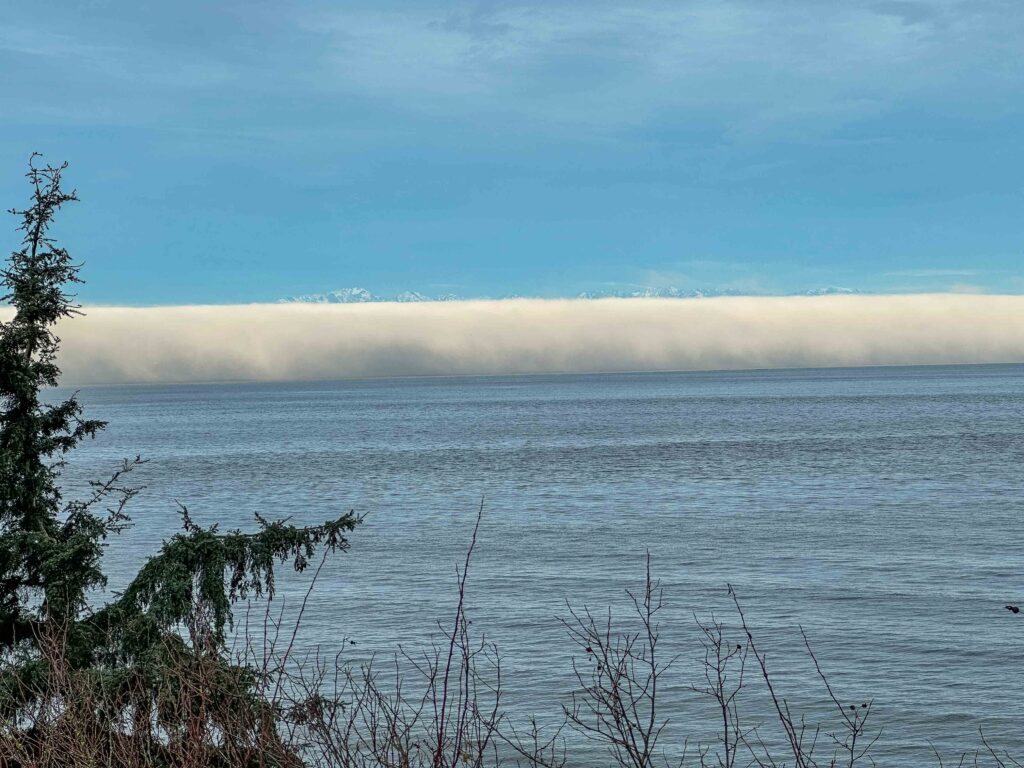 The deep penetrating fog over Puget Sound formed a metaphor that was not lost on me, clearing elegantly and gracefully with time.