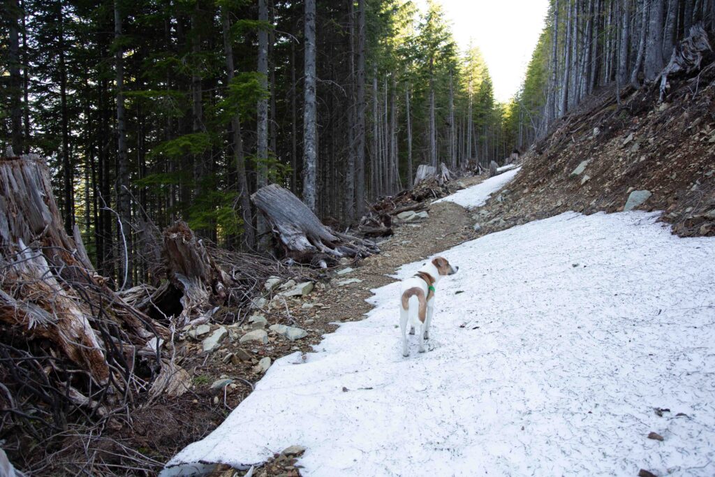 Exploring the path beyond the turnstile en route to Mt. Chance and the Great Wall.