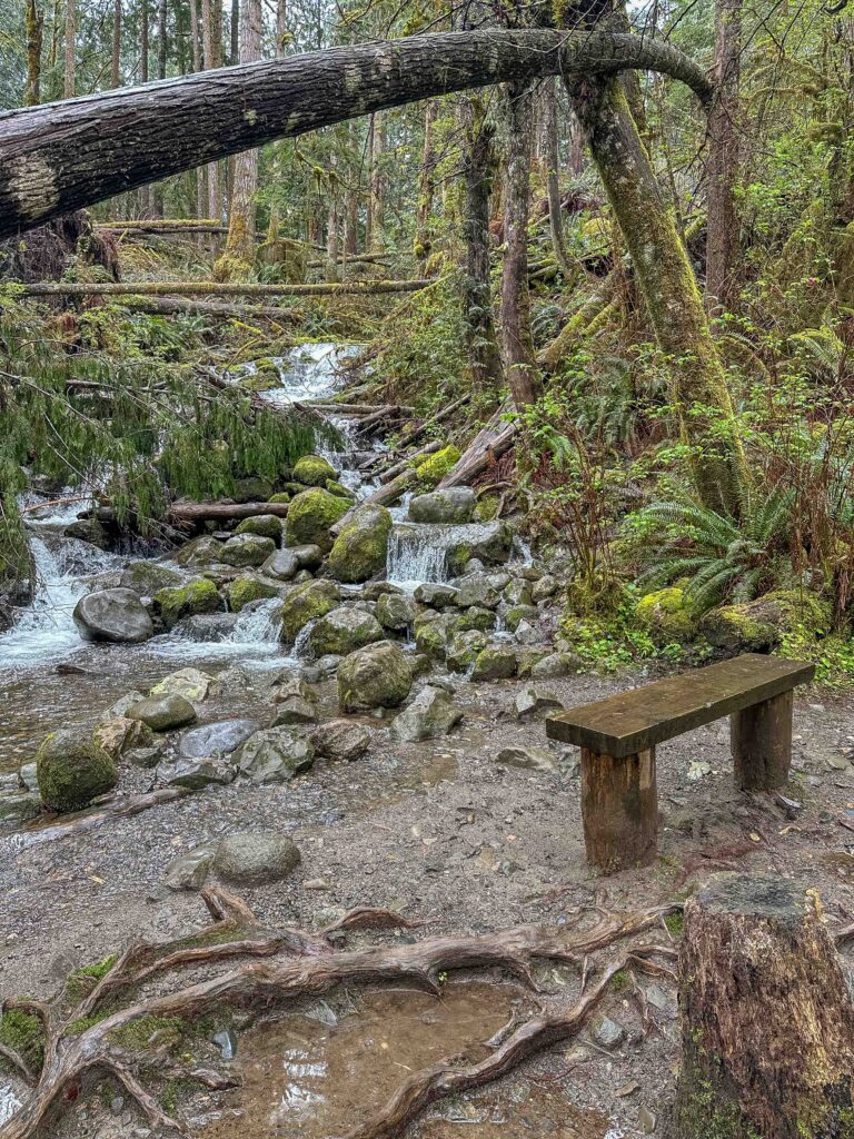 Small Falls Interpretive Loop, on a new-to-me solo discovery after the planned hike.