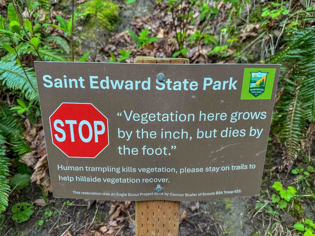 Ironic - this was from Saint Edward State Park Tuesday, and like I did then, today I stopped. For an hour. And let myself BE with Ajax.