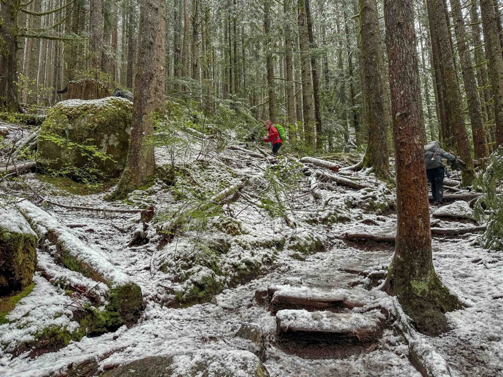 Unexpected snowfall on the trail to Upper Falls, Wallace Falls State Park.