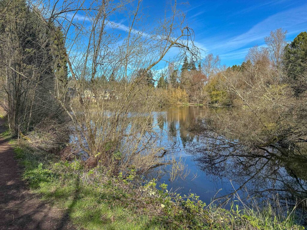 A recent birding outing at Twin Ponds.