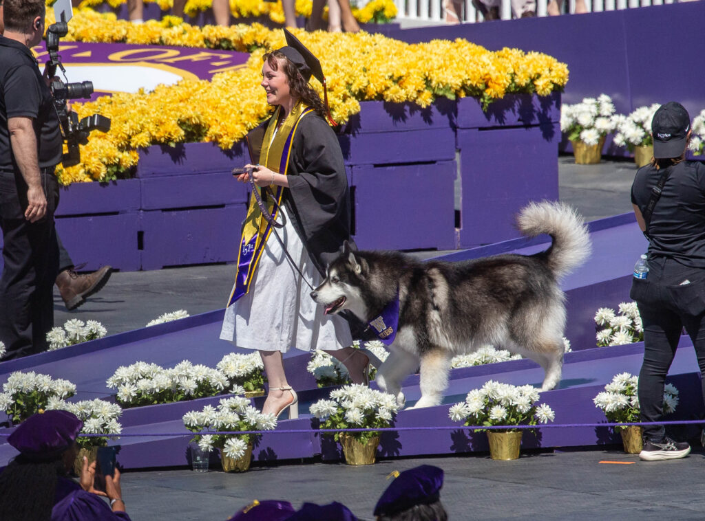 Dubs II, the UW mascot, with his graduating handler. The crowd murmured more enthusiastically when she walked down the purple aisle.