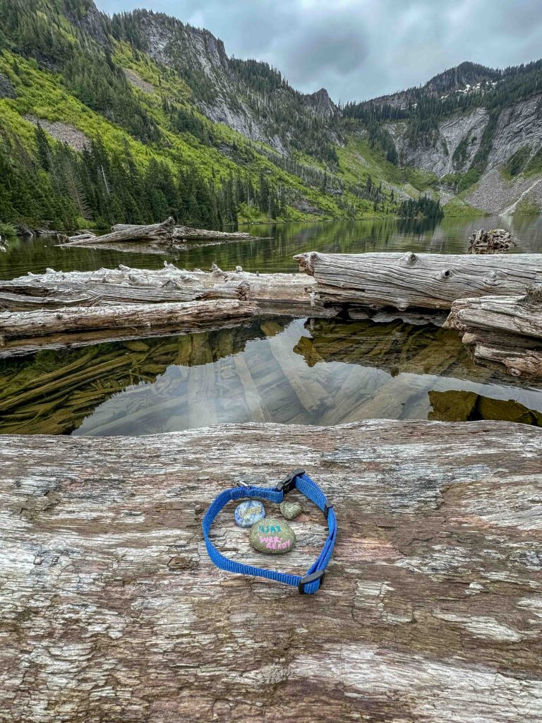 A collar and trio of rocks tribute I create at each lake I visit in his honor. Greider Lakes.