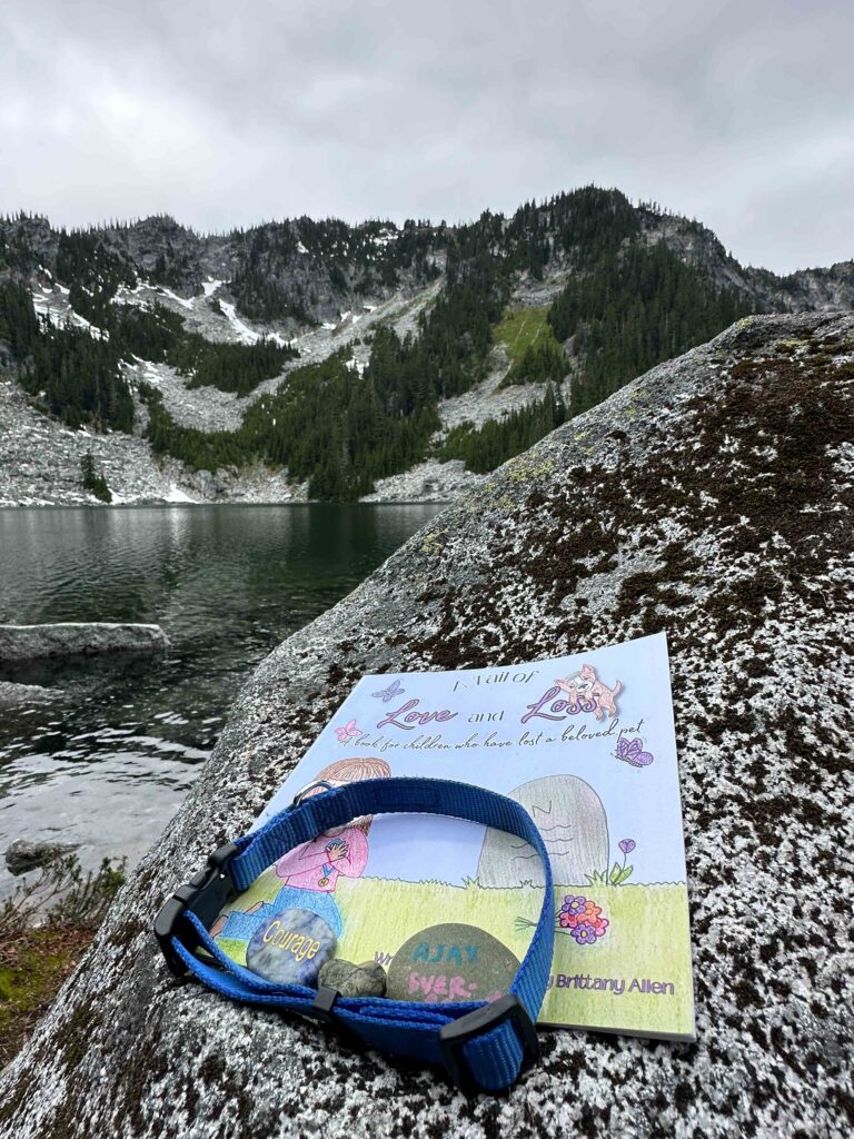 My tribute to Ajax at Glacier Lake: a picture book from a hiker, his collar, my "Courage" rock, heart rock, and Ajax Ever-ready rock. I carry him forward.