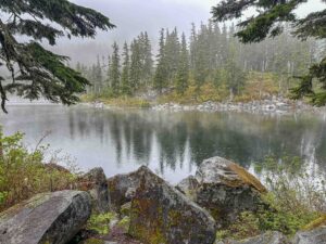 Read more about the article Grief as an Exquisite Teacher