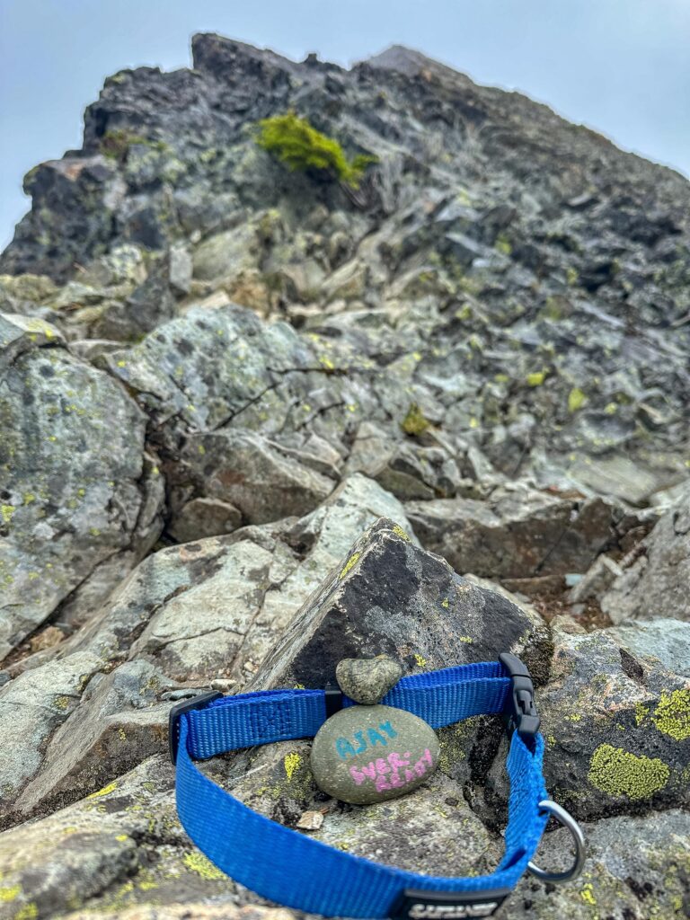 On our Thursday hike to the base of the McClellan Butte I paused to thank Angel Ajax (marking ten weeks since we lost him) for the lovely trip we took May 2024 when we had the mountain all to ourselves.