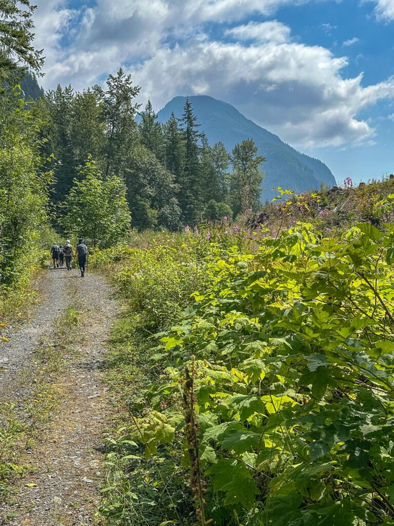 Dropping behind the rest of my Wallace Loop hikers for some "silent hiking" to be with Angel Ajax and the birds.