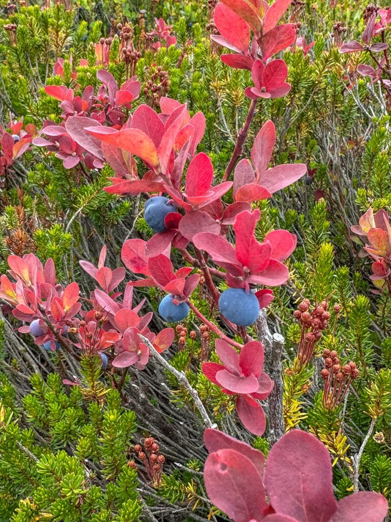 In a season of change, being willing to sit with the discomfort of not knowing is incredibly hard.