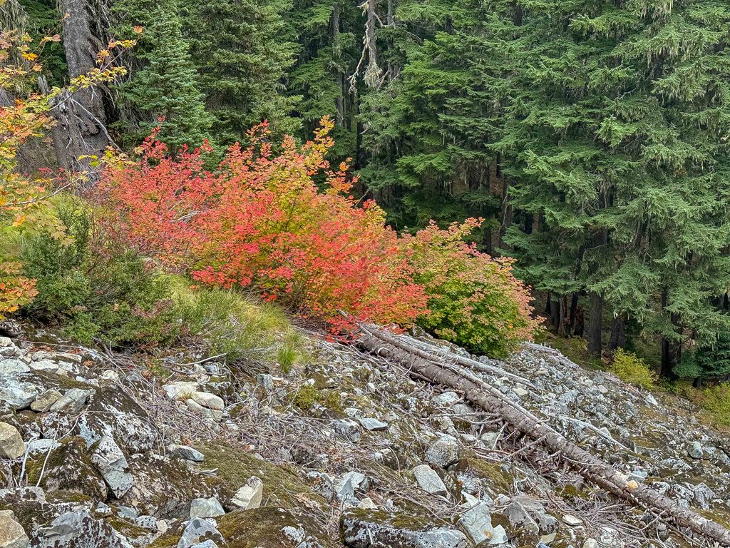 Fall is coming, like it or not. The changing seasons offer a great backdrop against which to examine our lives. What's changing for you?